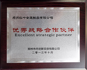 丹尼斯戰略合作伙伴